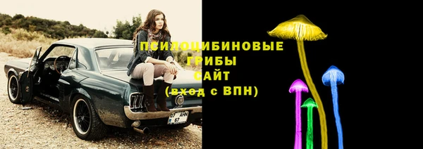 соль курить ск Аркадак