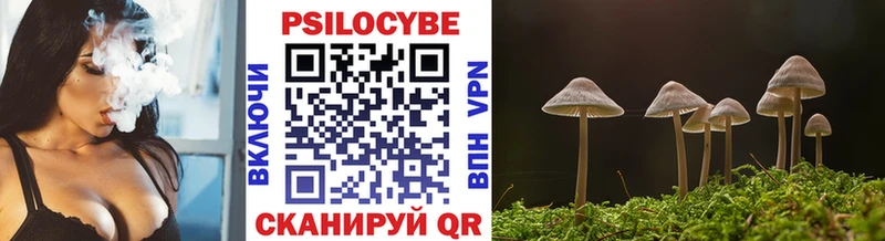 Галлюциногенные грибы Cubensis  Волгореченск 